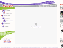 Tablet Screenshot of bonzini.com